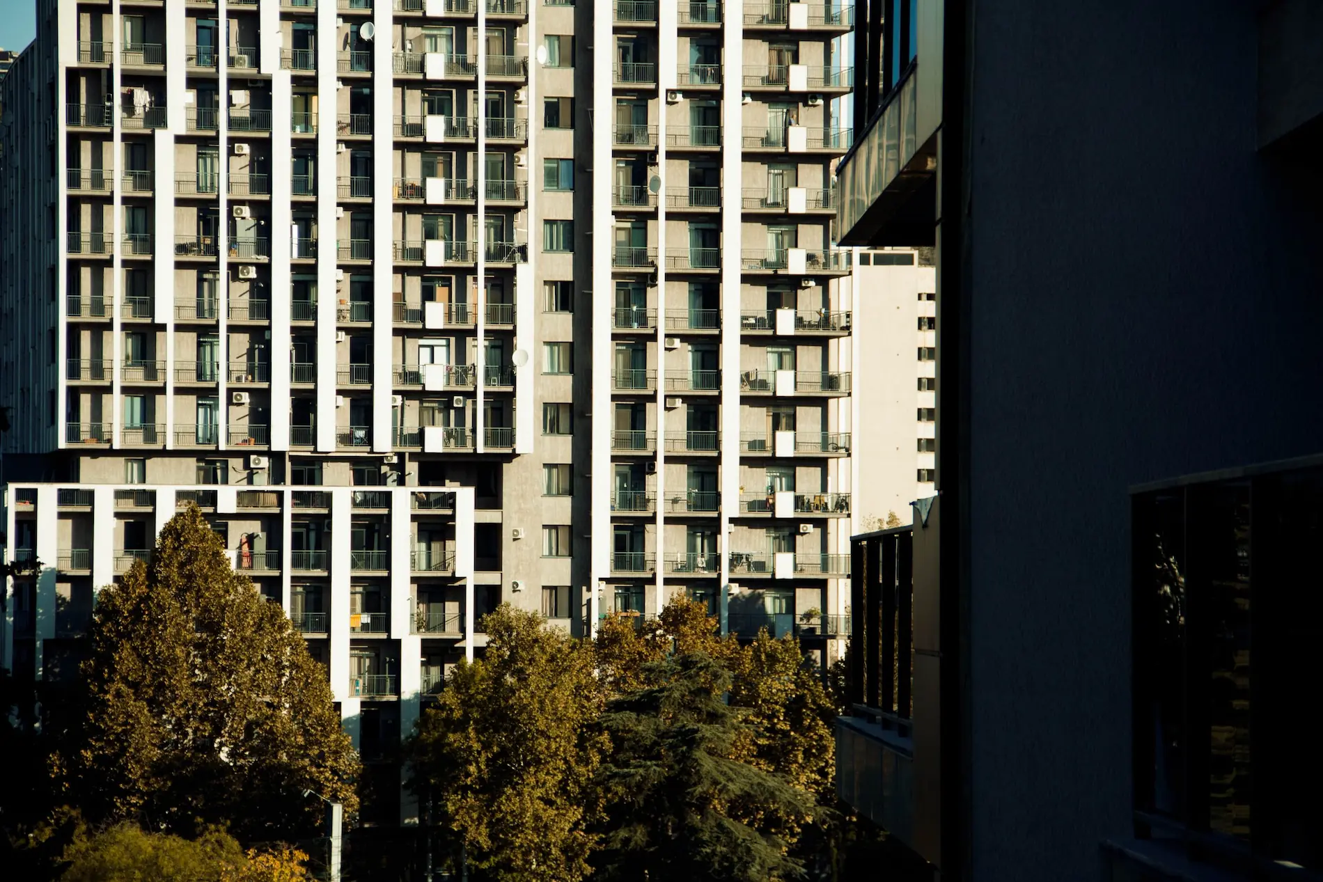 3500+ service specialists and companies